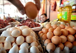 山东菏泽 鸡蛋价格 触底反弹 涨幅超过5